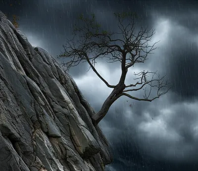 Illustration hardships