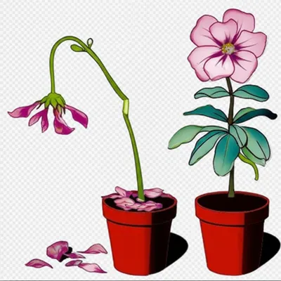 Illustration disable - Image 1