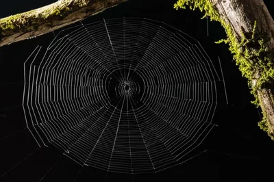 Illustration chains - Image 1