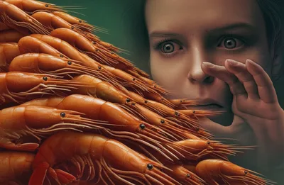 Illustration prawn - Image 1