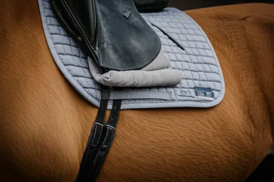 Illustration panels - Image 1