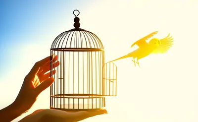 Illustration resigning - Image 1