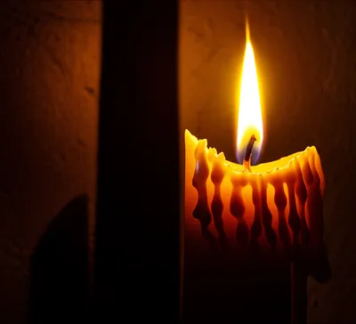 Illustration waxy - Image 1