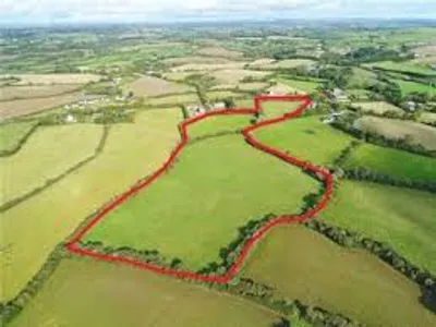 Illustration holding - Image 3