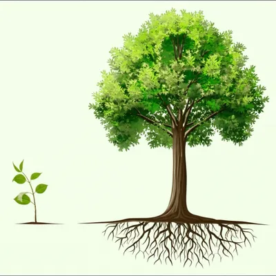 Illustration bigger - Image 1