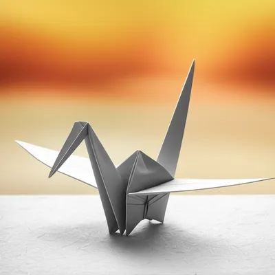 Illustration origami - Image 1