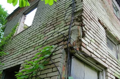 Illustration creep - Image 1