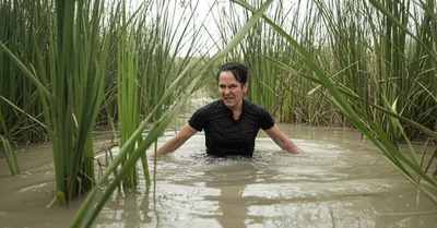 Illustration wading - Image 1