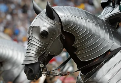 Illustration muzzle - Image 1