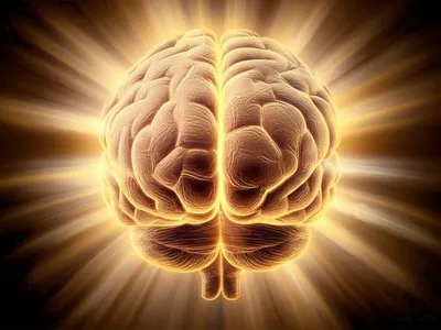 Illustration mantle - Image 1