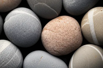 Illustration other - Image 1