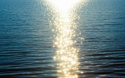 Illustration libido - Image 1