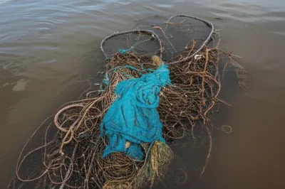 Illustration plight - Image 1