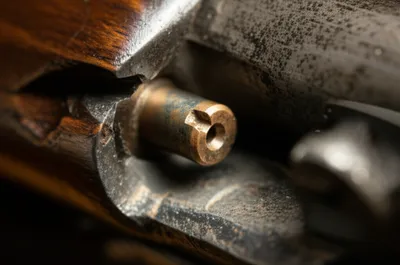 Illustration bushes - Image 1