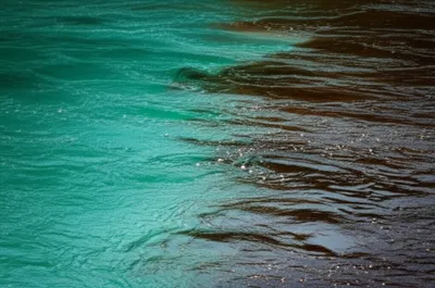 Illustration mingled - Image 1