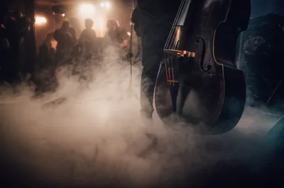 Illustration smokey - Image 1