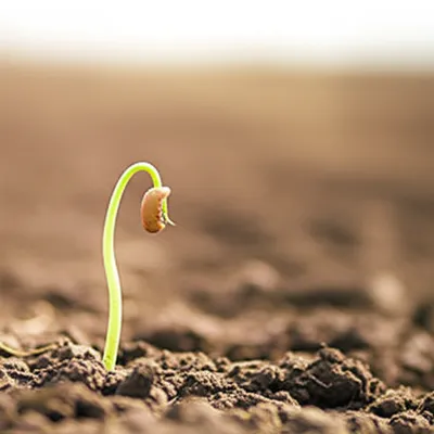 Illustration beginnings - Image 1