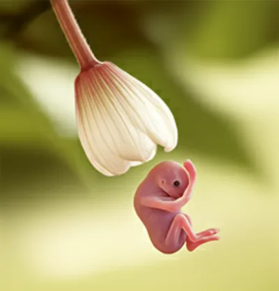 Illustration incompetent - Image 1