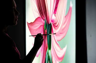 Illustration consummate - Image 1