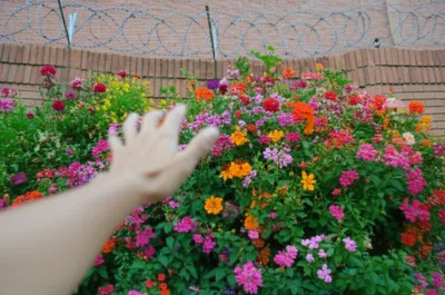 Illustration illiberal - Image 1