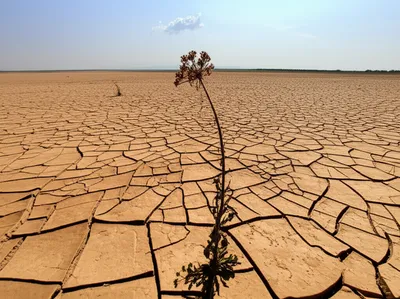 Illustration clung - Image 1