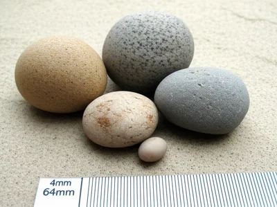 Illustration pebble - Image 1