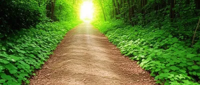 Illustration facultative - Image 1