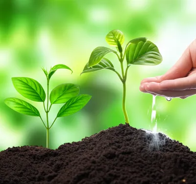 Illustration benevolent