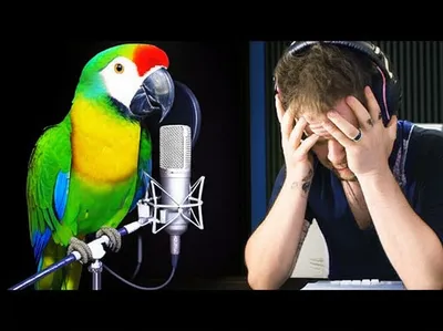 Illustration persist - Image 1