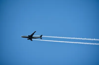 Illustration trimmed - Image 1