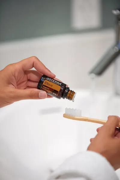 Illustration ingested - Image 2