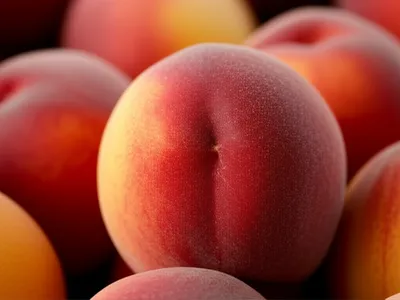 Illustration softer - Image 1