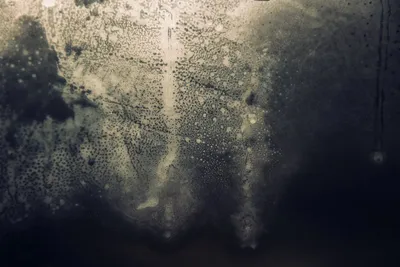 Illustration fogged - Image 2