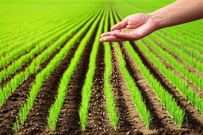 Illustration broadcast - Image 1