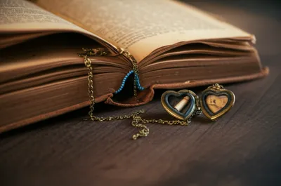 Illustration appendices