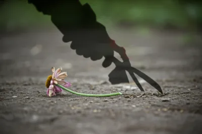 Illustration offs - Image 1