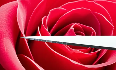 Illustration brutal - Image 1