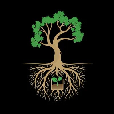 Illustration root - Image 1