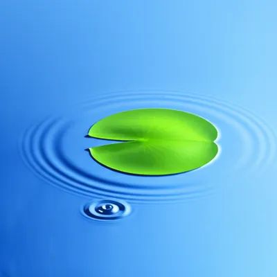 Illustration perturbation - Image 1