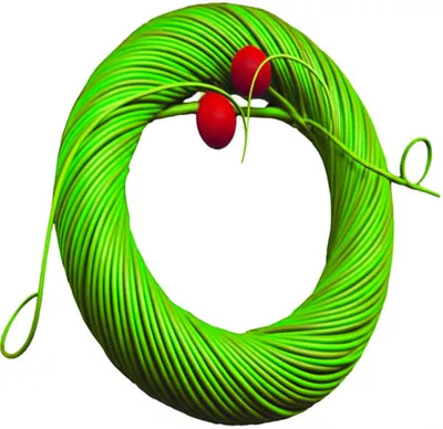 Illustration wreathe - Image 1