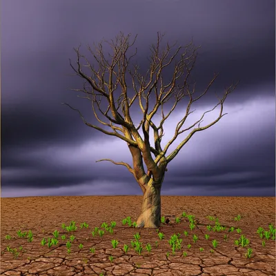 Illustration sequels - Image 1