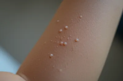 Illustration emcee - Image 1