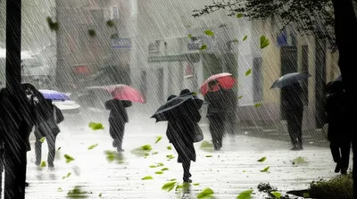 Illustration scat - Image 1