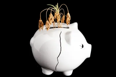 Illustration owing - Image 1