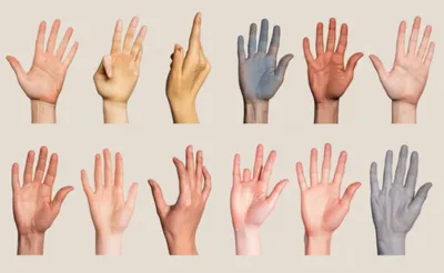 Illustration colours - Image 1