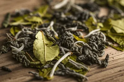 Illustration teas - Image 1