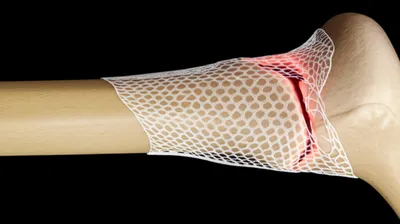 Illustration knits - Image 1