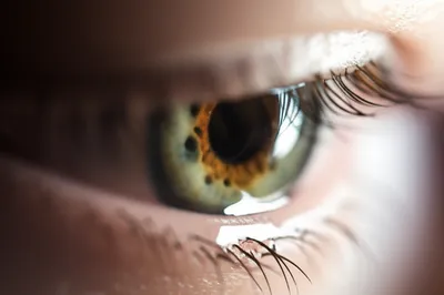 Illustration sprung - Image 1