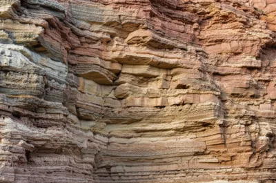 Illustration superposition - Image 1