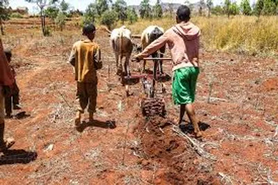 Illustration traction - Image 2